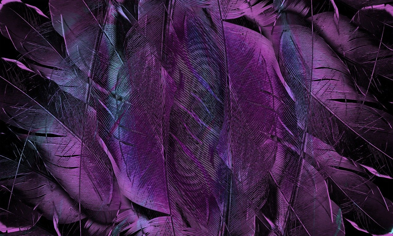feather, pattern, texture, form, structure, art, decoration, decorative, purple, violet, pattern, texture, texture, texture, texture, art, art, purple, purple, purple, purple, purple